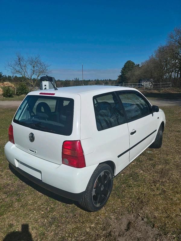 Gebraucht VW Lupo 50 PS (36 kW) 2000 Weiß Kleinwagen