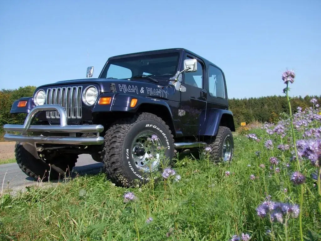 Gebraucht Jeep Wrangler 177 PS (130 kW) 1999 Blau SUV