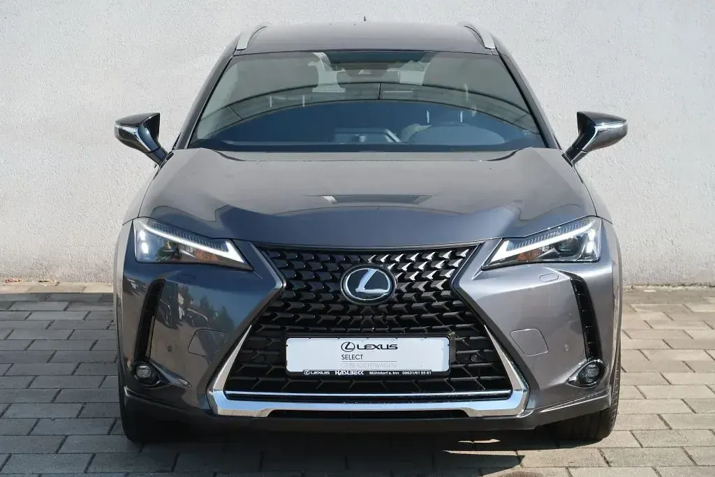 Gebraucht Lexus UX 250h 184 PS (135 kW) 2023 Obsidiangrau metallic SUV