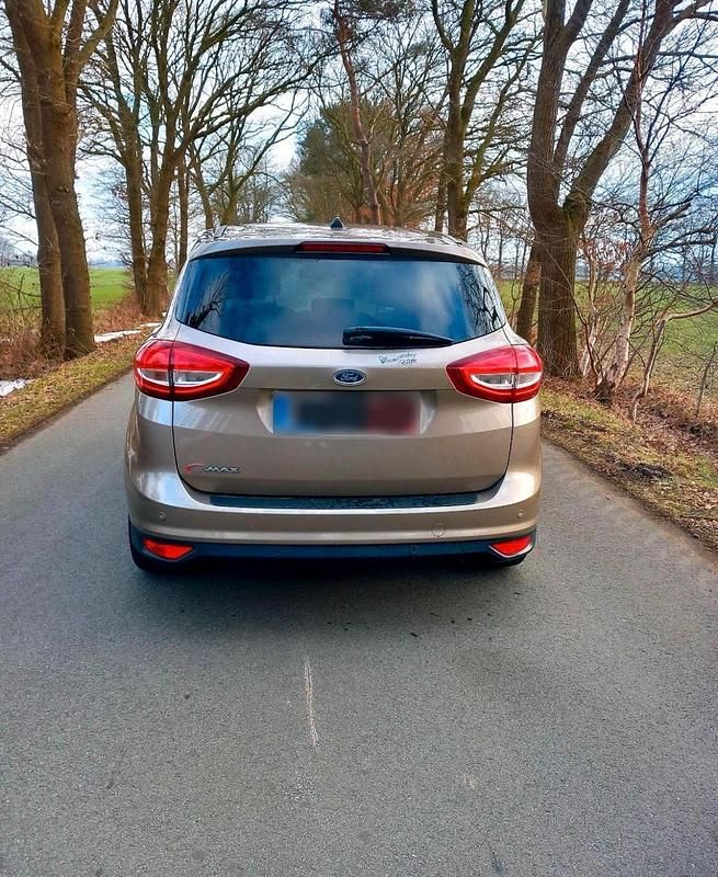 Gebraucht Ford C-MAX 150 PS (110 kW) 2019 Braun Van / Kleinbus