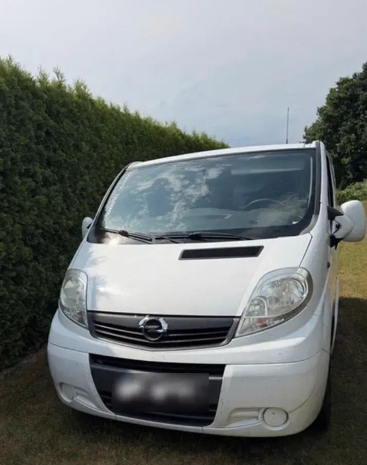 Gebraucht Opel Vivaro 114 PS (83 kW) 2010 Weiß Van / Kleinbus