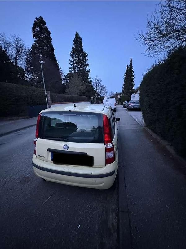 Gebraucht Fiat Panda Dynamic 60 PS (44 kW) 2009 Beige Kleinwagen