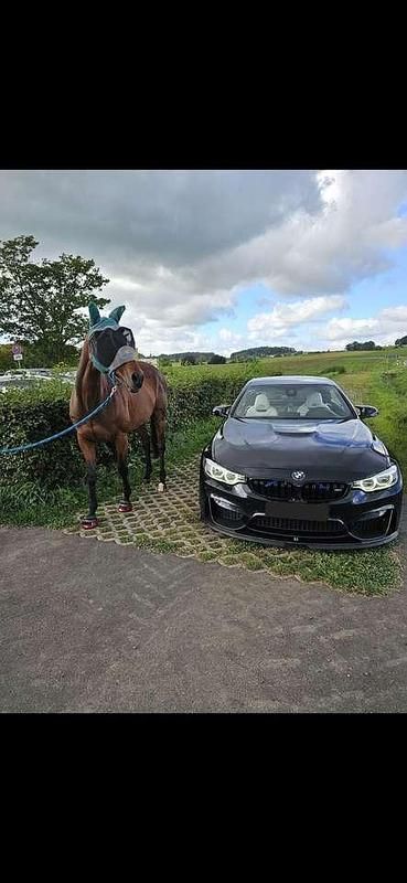 Schwarz Gebraucht 2017 BMW M4 Cabriolet Competition Edition Cabrio | 51.900 € - Bild 1/4