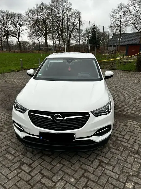 Gebraucht Opel Grandland X Edition 132 PS (97 kW) 2020 Weiß SUV