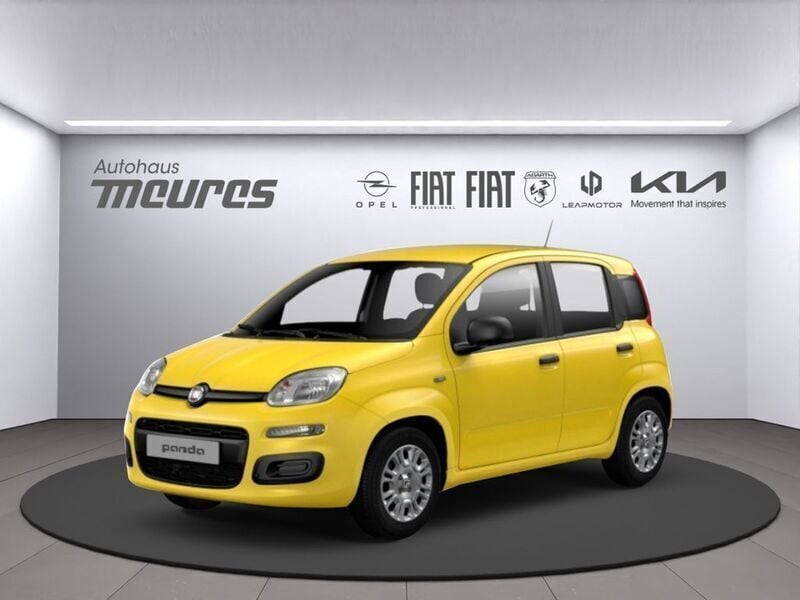 Gelb Neu 2025 Fiat Panda Kleinwagen | 14.950 € (Fairer Preis) - Bild 1/1