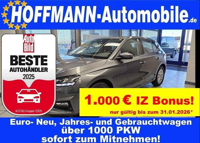 Grau Neu 2025 Skoda Fabia Selection Limousine | 19.450 € (Guter Preis) - Bild 1/4