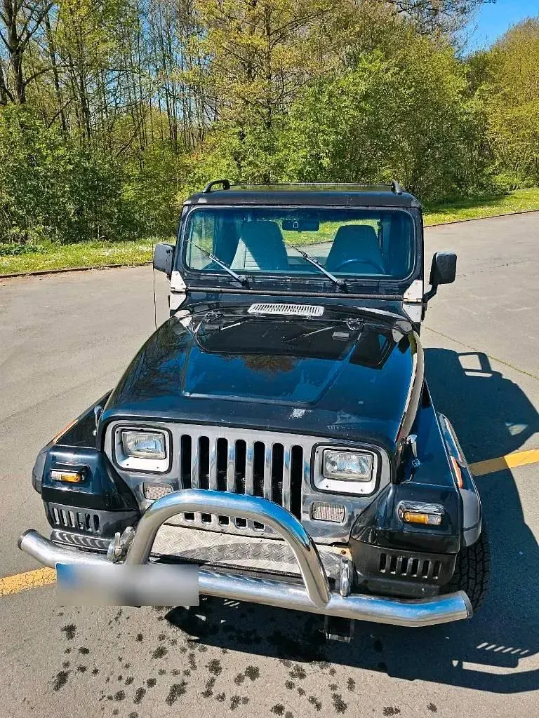Gebraucht Jeep Wrangler 185 PS (136 kW) 1994 Schwarz SUV