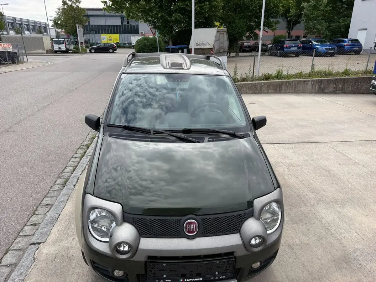Gebraucht Fiat Panda 4x4 69 PS (50 kW) 2006 Grün Kleinwagen