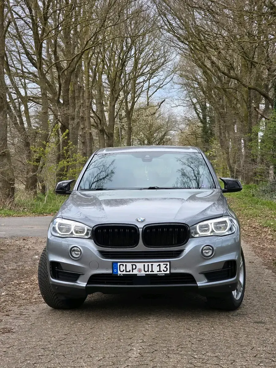 Gebraucht BMW X5 Performance 313 PS (230 kW) 2014 Grau SUV