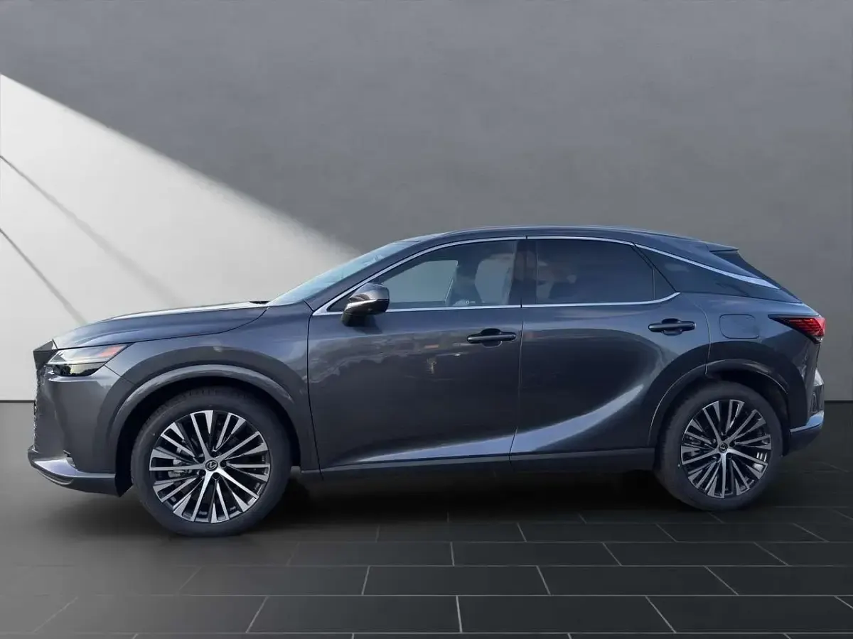 Gebraucht Lexus RX350h Executive Line 250 PS (183 kW) 2026 Sonic grey SUV