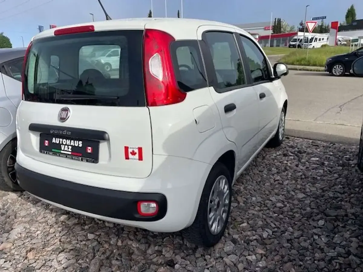 Occasion Fiat Panda Easy 69 ch (50 kW) 2020 Blanc Citadine