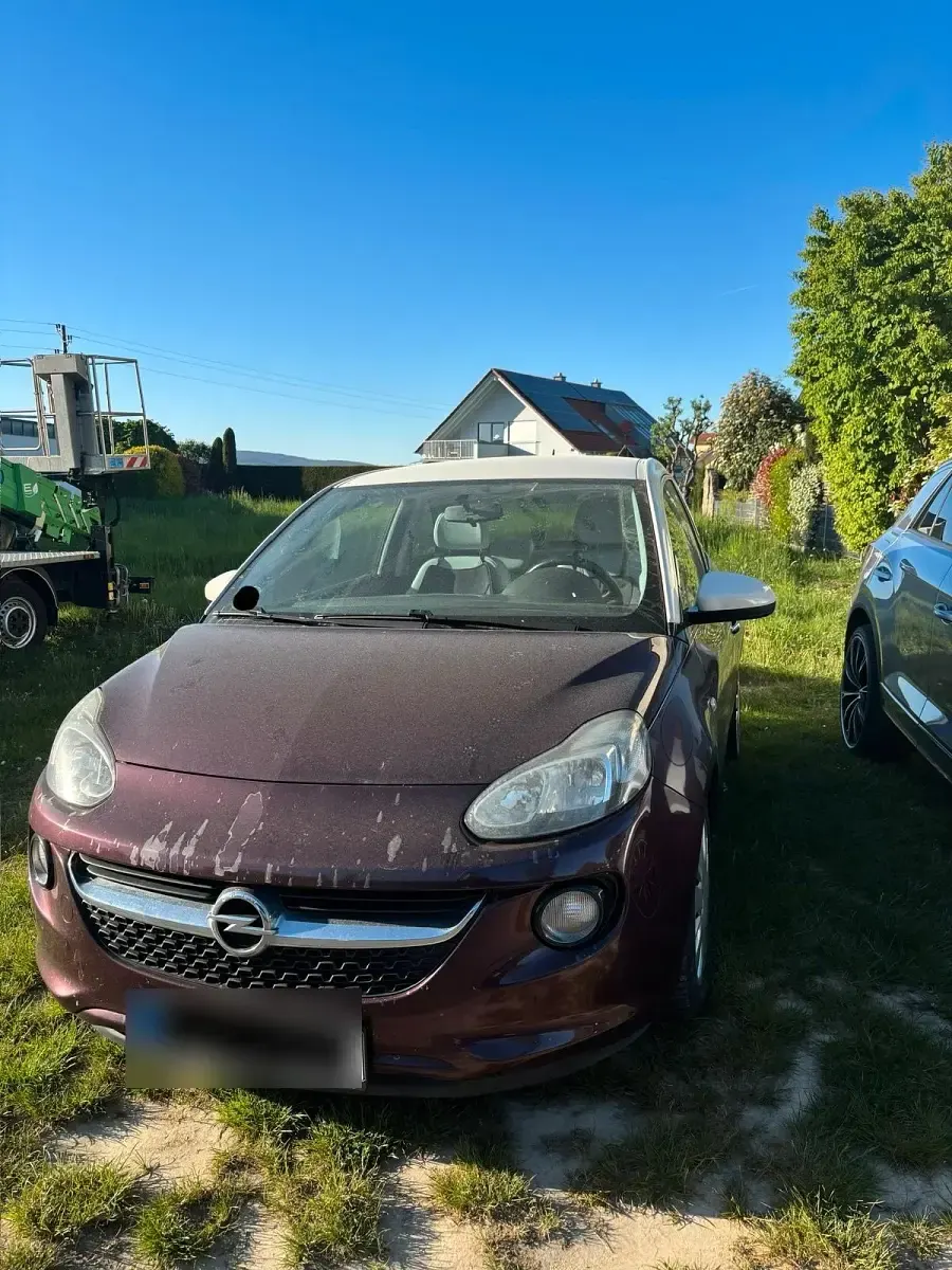 Usata Opel Adam 87 CV (63 kW) 2014 Viola Utilitaria