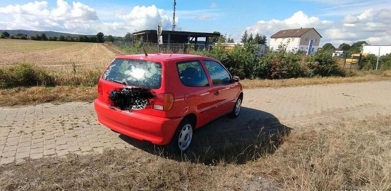 Rot Gebraucht 1996 VW Polo Kleinwagen | 1.350 € (Fairer Preis) - Bild 1/4