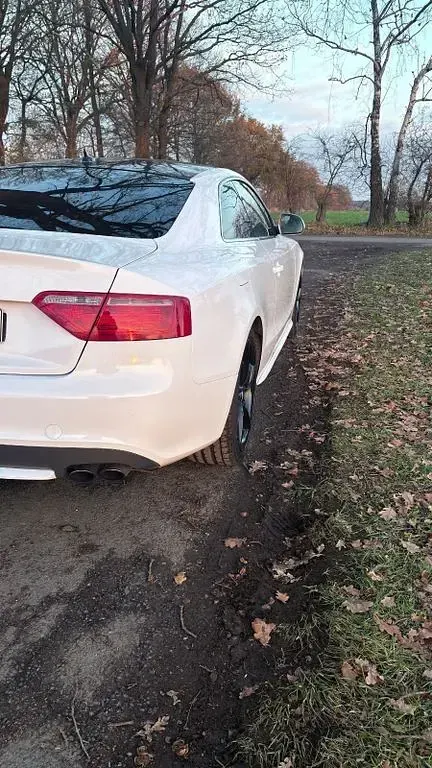 Gebraucht Audi S5 Sport 354 PS (260 kW) 2008 Weiß Coupé