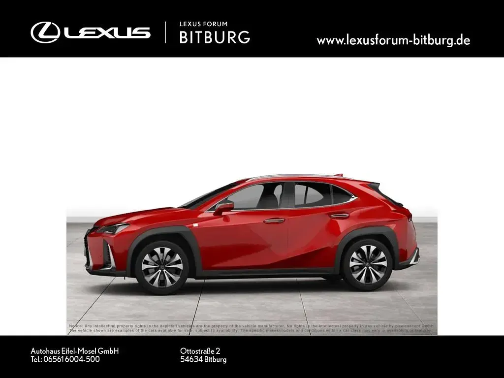 Gebraucht Lexus UX 250h 184 PS (135 kW) 2022 Solid red (metallic) SUV