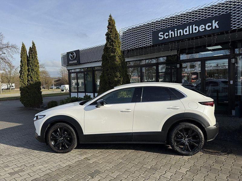 Gebraucht Mazda CX-30 150 PS (110 kW) 2022 Snowflake white pearl SUV