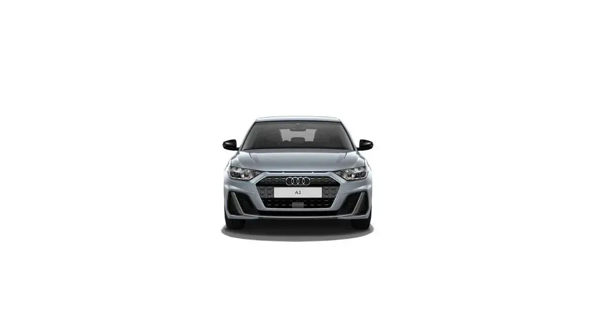 Gebraucht Audi A1 S-Line 116 PS (85 kW) 2020 Pfeilgrauperleffekt SUV