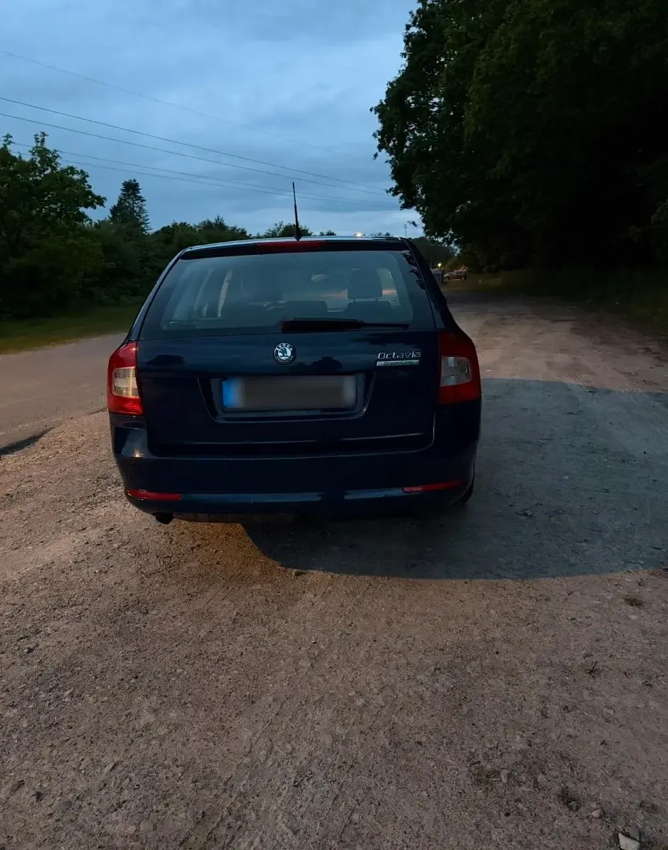 Usado Skoda Octavia 105 CV (77 kW) 2013 Azul Familiar