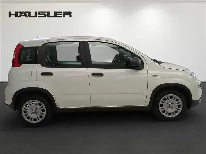 Gebraucht Fiat Panda 70 PS (51 kW) 2024 Weiss Kleinwagen