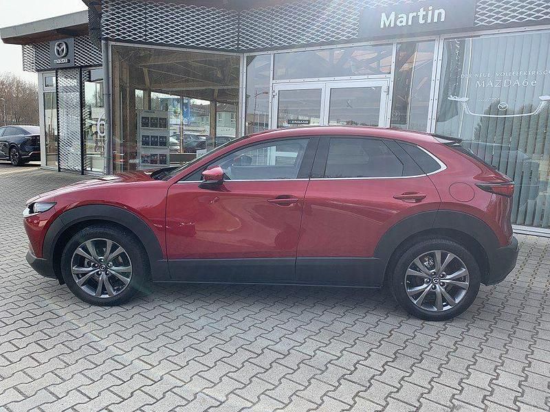 Gebraucht Mazda CX-30 Selection 186 PS (136 kW) 2019 Rot SUV