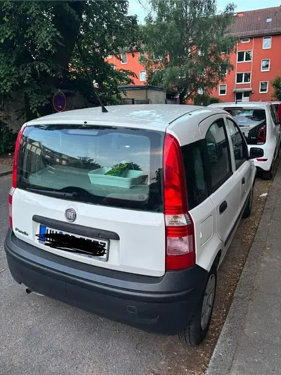 Gebraucht Fiat Panda 73 PS (53 kW) 2009 Weiß Kleinwagen
