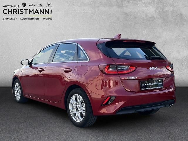 Gebraucht Kia Ceed Vision 120 PS (88 kW) 2022 (aa9) infrarot met. Kleinwagen