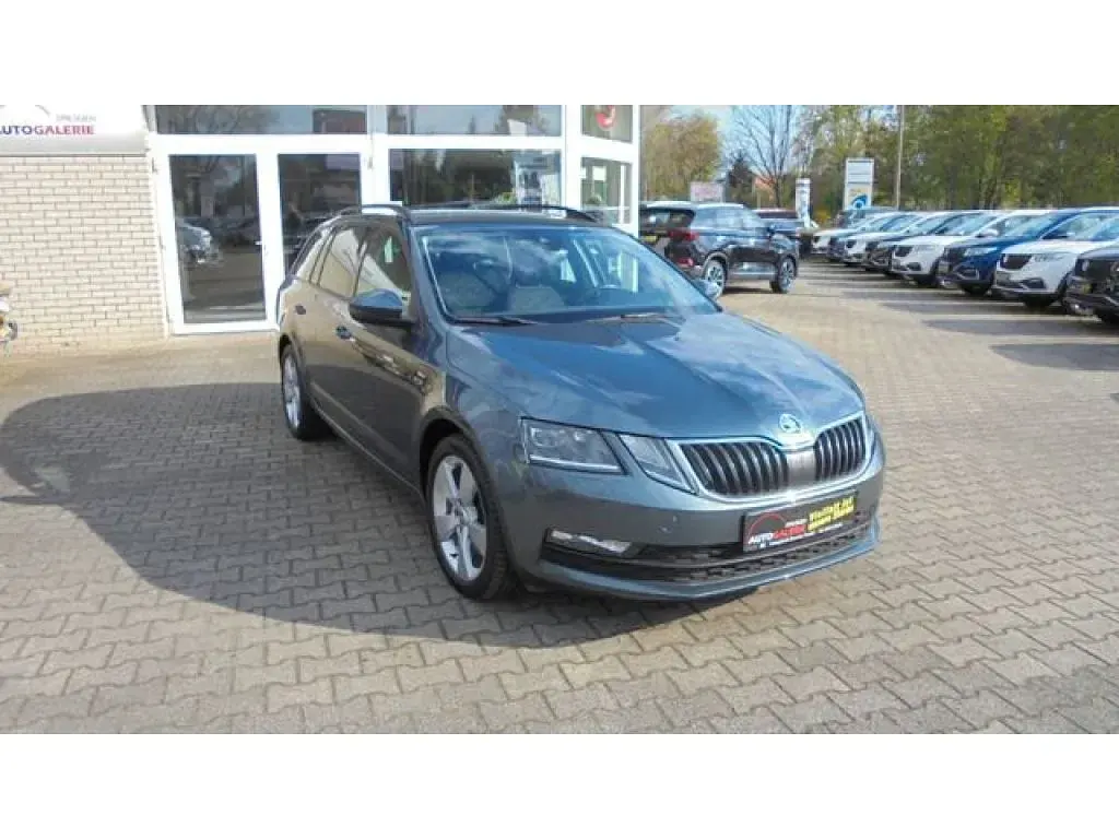 Gebraucht Skoda Octavia 179 PS (131 kW) 2018 Grau Kombi