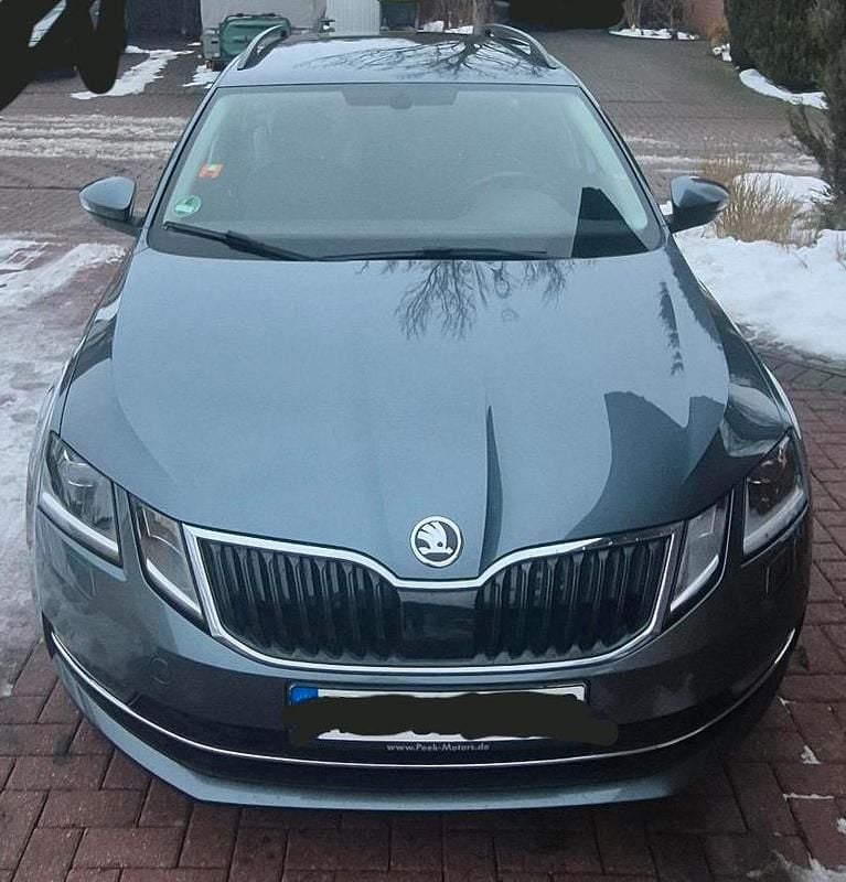 Gebraucht Skoda Octavia G-TEC Style 110 PS (80 kW) 2018 Grau Kombi