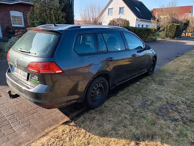 Gebraucht VW Golf VII Allstar 110 PS (80 kW) 2016 Grau Kombi