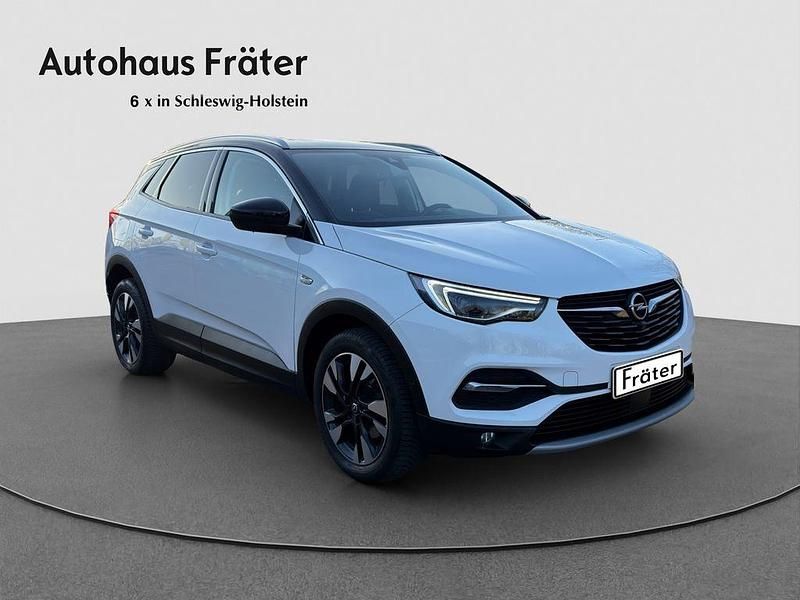 Gebraucht Opel Grandland X 131 PS (96 kW) 2020 Weiß SUV