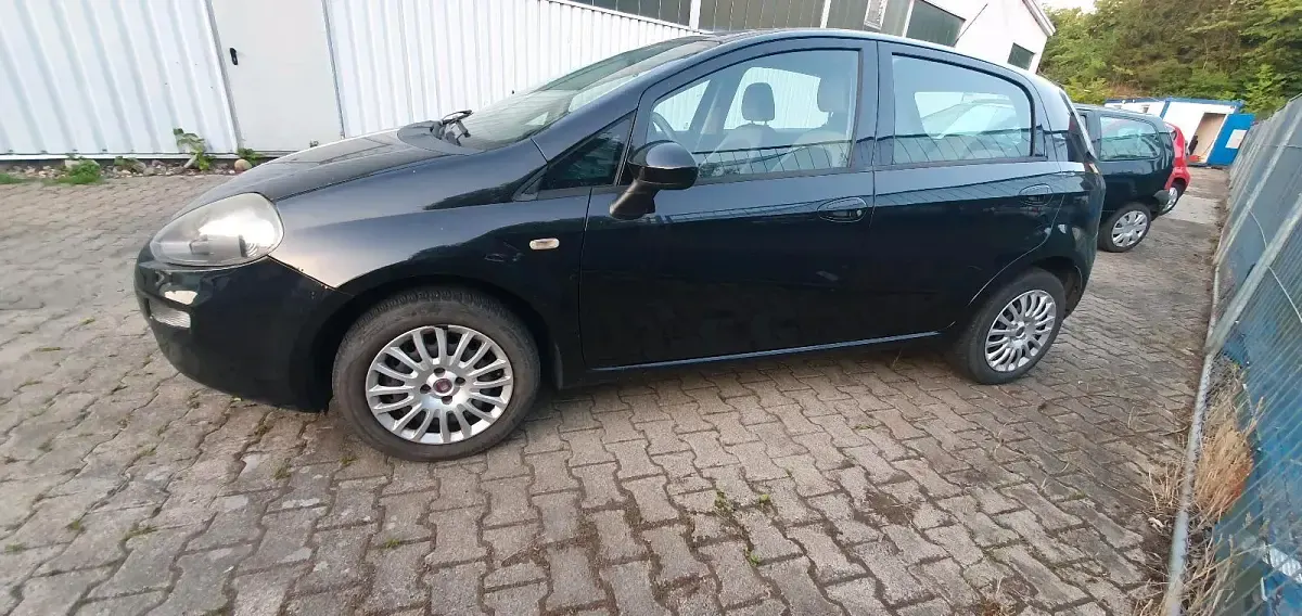 Gebraucht Fiat Punto 69 PS (50 kW) 2013 Schwarz Kleinwagen