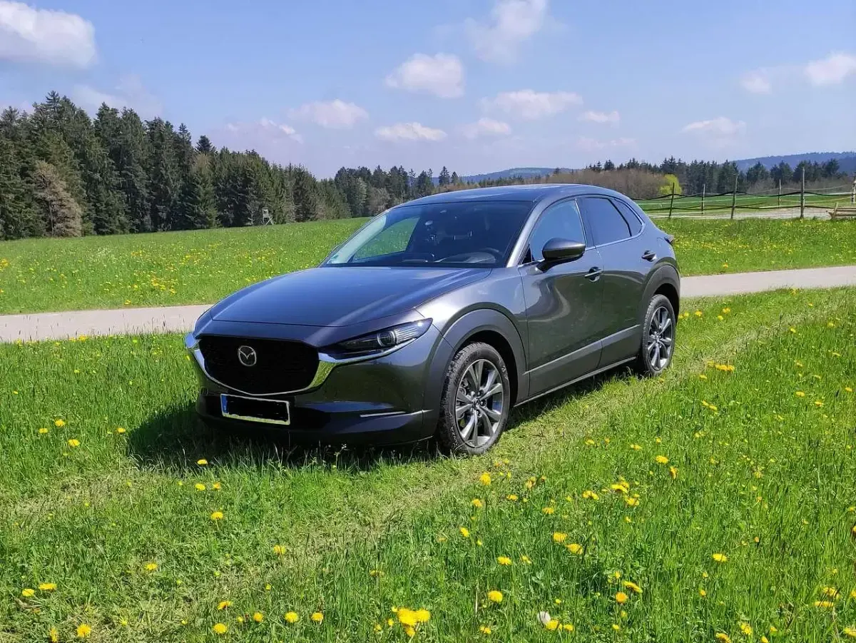 Gebraucht Mazda CX-30 Selection 179 PS (131 kW) 2019 Grau SUV