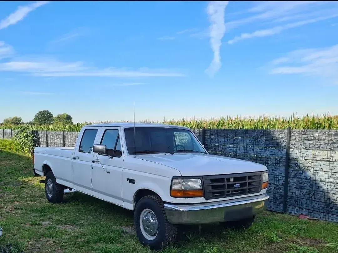 Gebraucht Ford V8 1992 Weiß