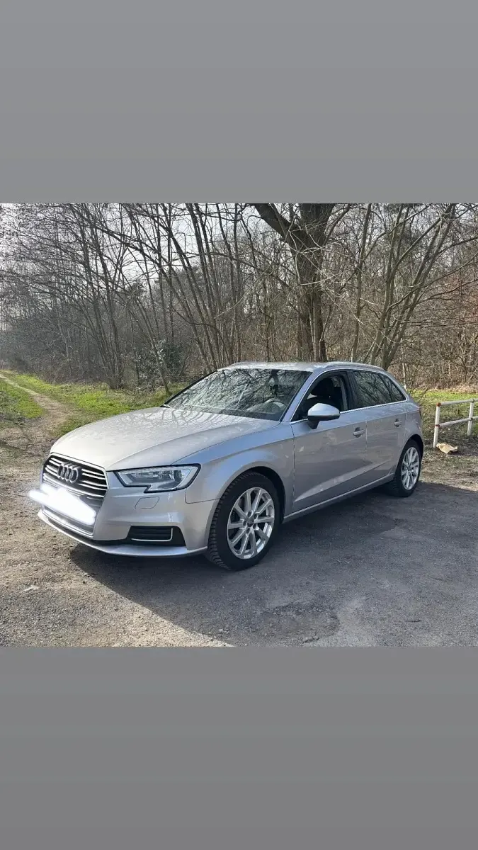 Gebraucht Audi A3 Sportback 150 PS (110 kW) 2019 Silber Kleinwagen