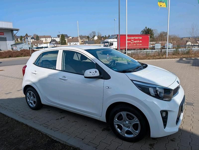 Gebraucht Kia Picanto 84 PS (61 kW) 2019 Weiß Kleinwagen