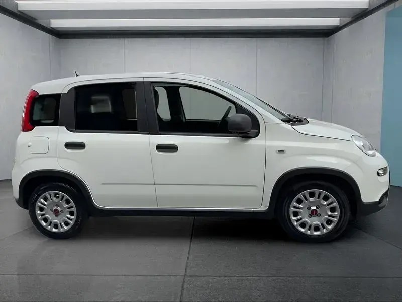 Usata Fiat Panda 71 CV (52 kW) 2024 Bianco Utilitaria