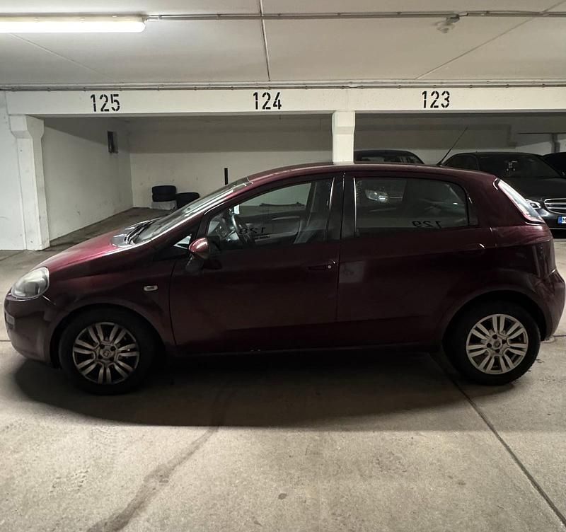 Gebraucht Fiat Punto Lounge 69 PS (50 kW) 2014 Violet Kleinwagen