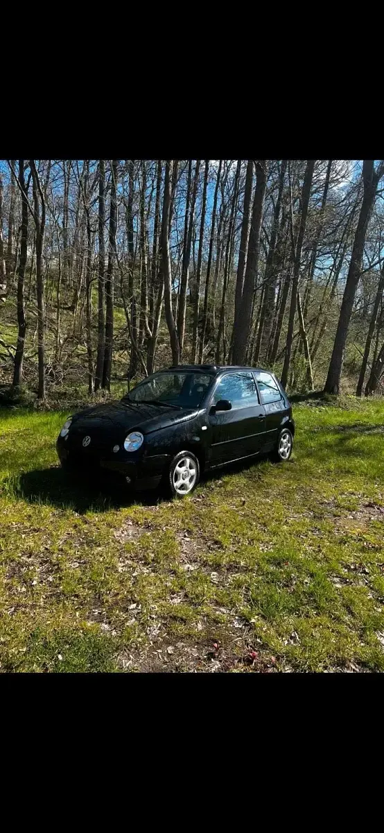 Gebraucht VW Lupo 75 PS (55 kW) 1999 Schwarz Kleinwagen