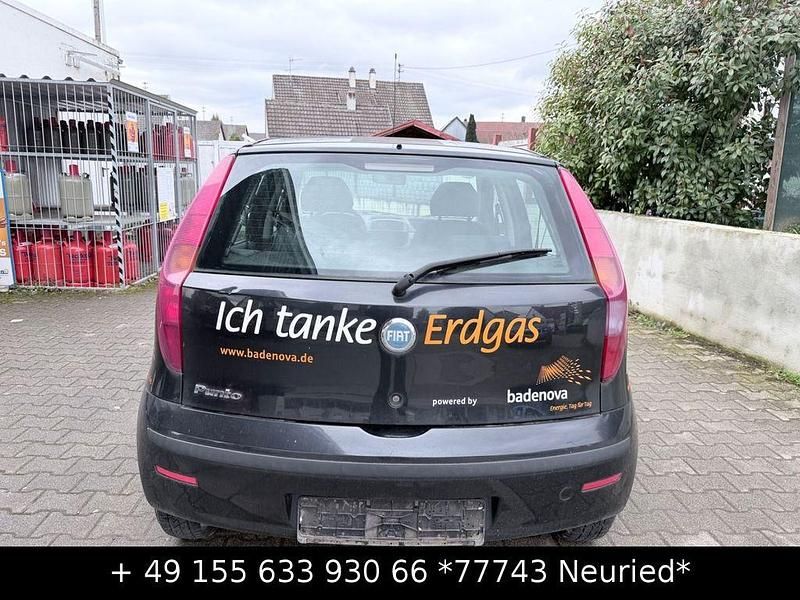 Gebraucht Fiat Punto Dynamic 60 PS (44 kW) 2006 Schwarz Kleinwagen