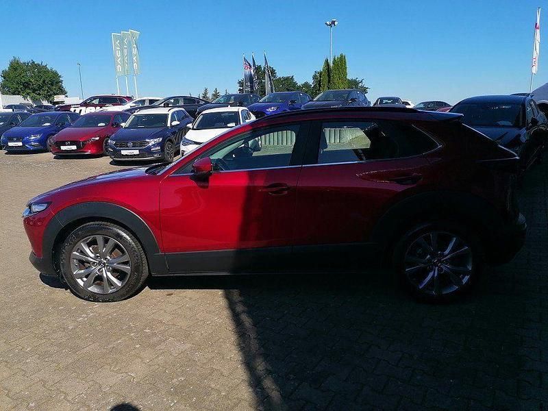 Gebraucht Mazda CX-30 Selection 122 PS (89 kW) 2022 Rot soul red crystal m metallic SUV