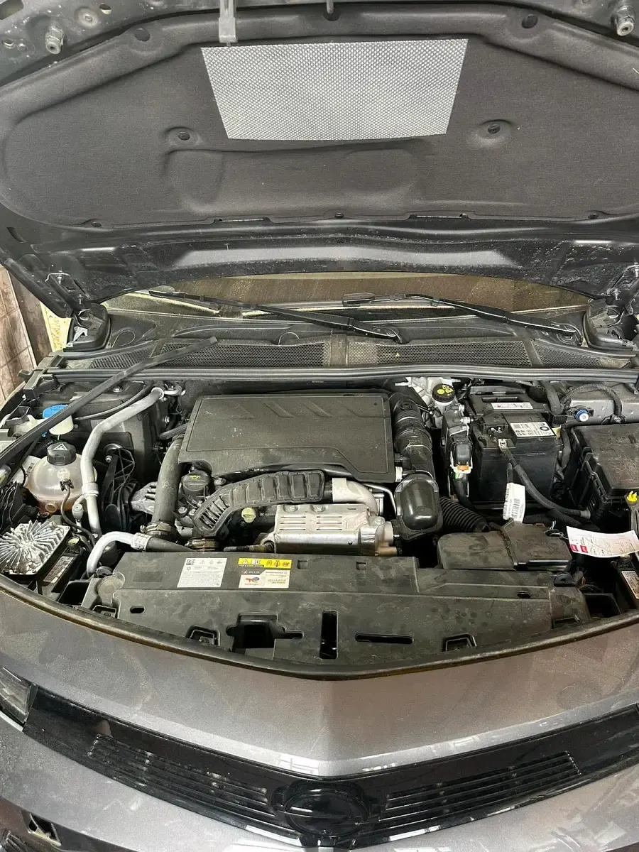 Usata Opel Astra 2025 Argento Utilitaria