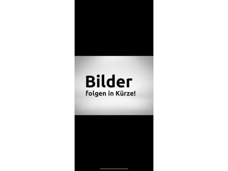 Gletscherweiss Gebraucht 2016 Renault Trafic Van | 15.980 € (Teuer) - Bild 1/2