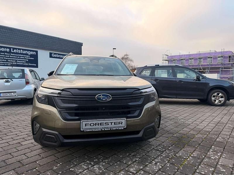 Neu Subaru Forester Active 136 PS (100 kW) 2026 Autum green metallic SUV