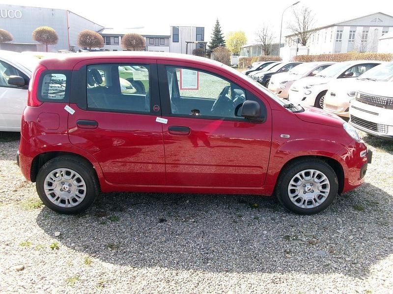Neu Fiat Panda Icon 69 PS (50 kW) 2025 Gelb Limousine
