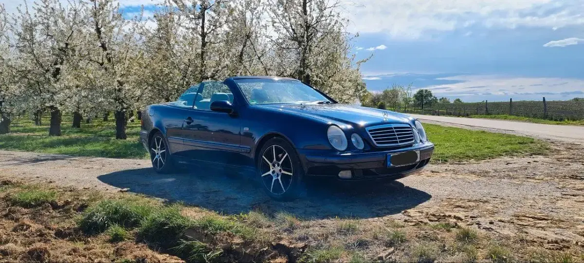 Gebraucht Mercedes CLK320 218 PS (160 kW) 1999 Blau Cabrio