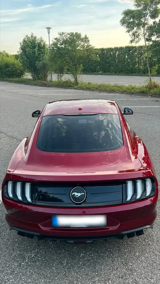 Gebraucht Ford Mustang Fastback 290 PS (213 kW) 2019 Rot Coupé