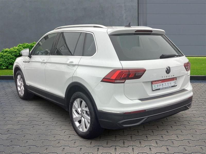 Gebraucht VW Tiguan Life 150 PS (110 kW) 2021 Weiss SUV