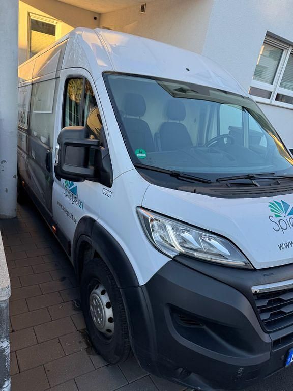 Gebraucht Opel Movano 165 PS (121 kW) 2023 Weiß Van / Kleinbus