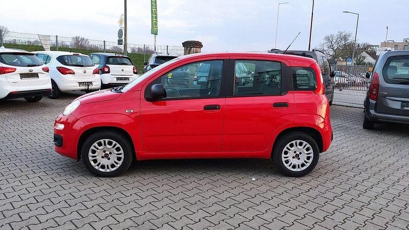 Gebraucht Fiat Panda Easy 69 PS (50 kW) 2019 Rot Kleinwagen