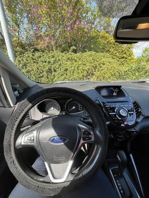 Gebraucht Ford Ecosport Titanium 112 PS (82 kW) 2017 Grau SUV